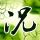 一比一原版高苑科技大学毕业证【degxx.com】